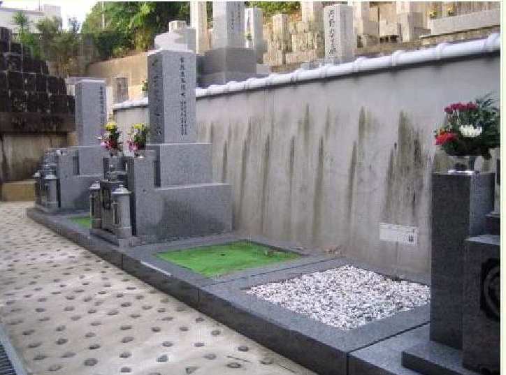 光照山 阿弥陀寺01