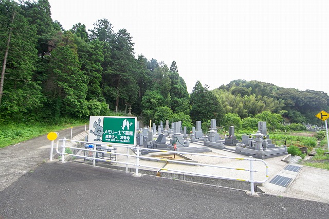 メモリー土下墓園01