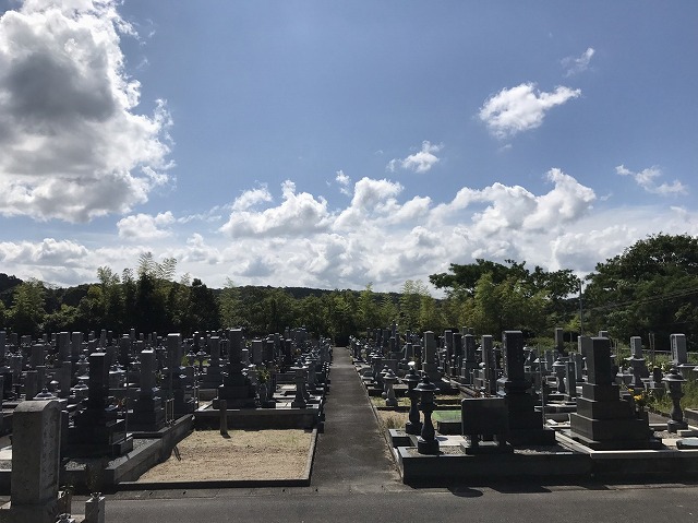 霊園内