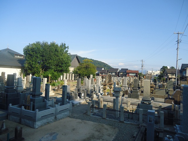 墓所全体