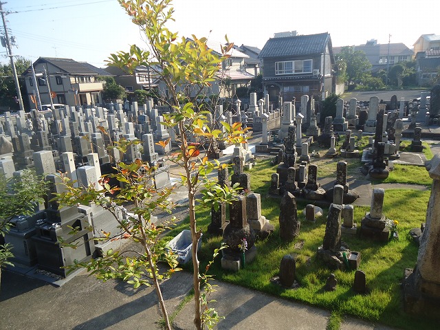 妙要寺墓地01