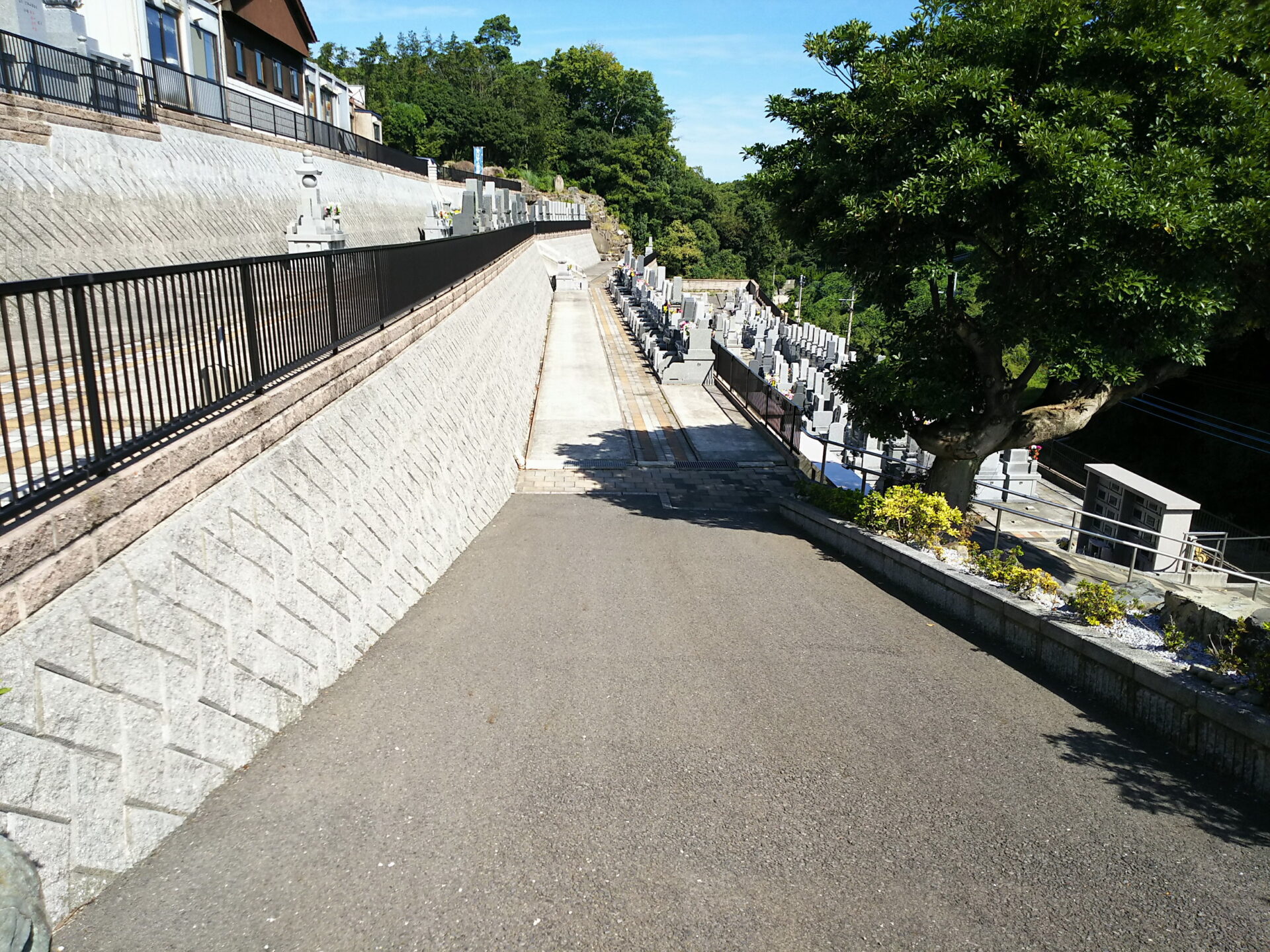 霊園通路