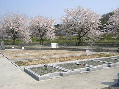 大川瀬霊園01