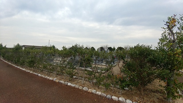磐田市営 福田霊園01