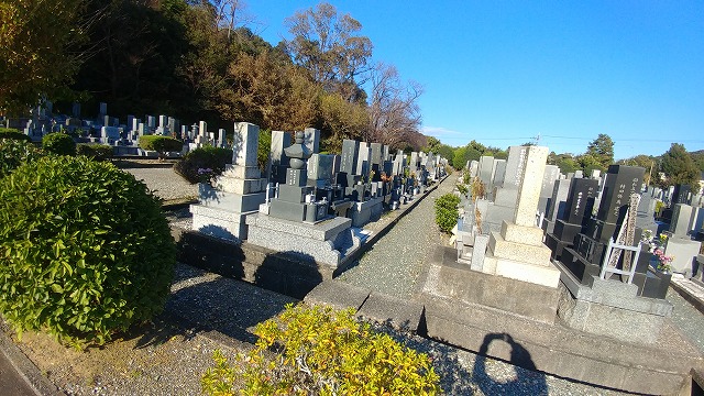 園内全体風景