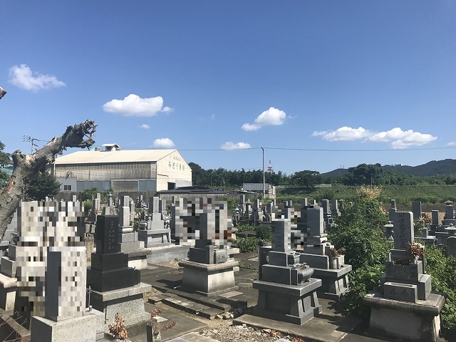 園内全体３