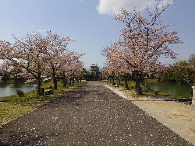 霊園メイン通路